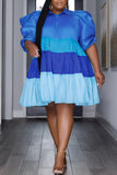 Casual Patchwork Contrast Shirt Collar A Line Plus Size Dresses