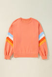 Flamingo Rainbow Striped Sleeve Crew Neck Loose Sweatshirt