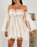 Off Shoulder Frill Trim Sheer Mesh Swing Dress