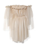 Off Shoulder Frill Trim Sheer Mesh Swing Dress