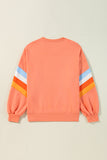 Flamingo Rainbow Striped Sleeve Crew Neck Loose Sweatshirt