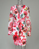 Mesh Puff Lantern Sleeve Twisted Floral Print Dress