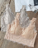 2 Pack Lace Scallop Trim Lace Bralette V Neck Camisoles