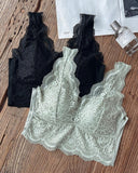 2 Pack Lace Scallop Trim Lace Bralette V Neck Camisoles