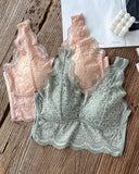 2 Pack Lace Scallop Trim Lace Bralette V Neck Camisoles