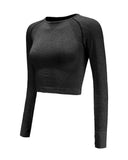 Long Sleeve Round neck Solid Sporty Top