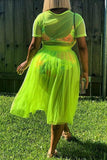 fashion mesh pleated skirt set