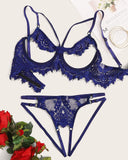 Eyelash Crochet Lace Cutout Open Breast Lingerie Set