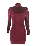 Mock Neck Long Sleeve Bodycon Dress