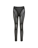 High Waist Sheer Mesh Skinny Pants