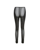 High Waist Sheer Mesh Skinny Pants