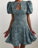 Leopard Short Sleeve Loose Mini Dress