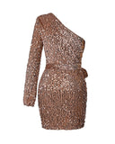 Sequined One Shoulder Bodycon Mini Dress
