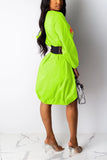 fashion lantern sleeve dress