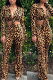 sexy leopard print pants set