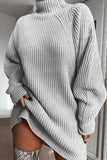 Casual Solid Basic Turtleneck Long Sleeve Dresses