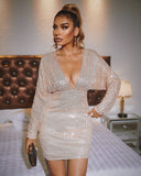 Plunge Long Sleeve Bodycon Sequin Dress