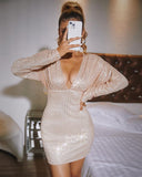 Plunge Long Sleeve Bodycon Sequin Dress