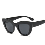classic anti reflective cat eye sunglasses